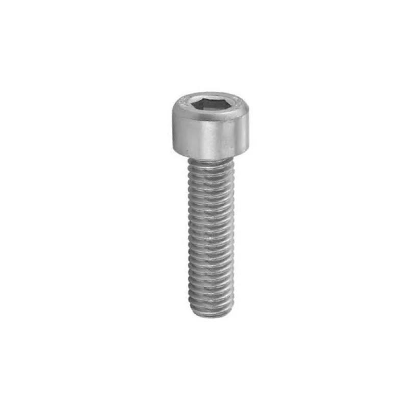 Vis Inox M8x16mm (4007563) - Par 100pcs